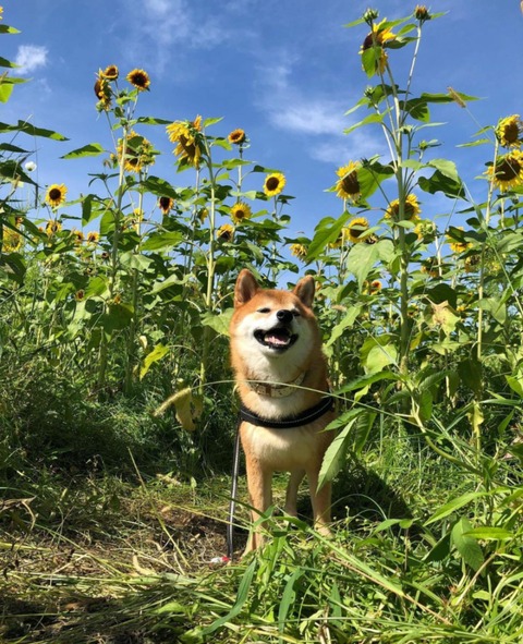no title