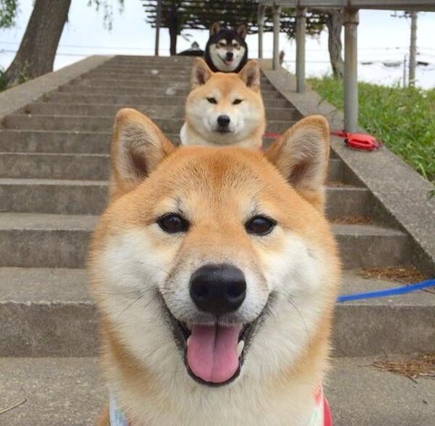 no title