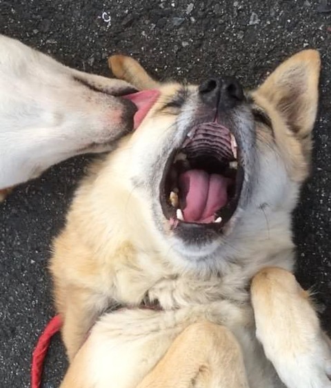 no title