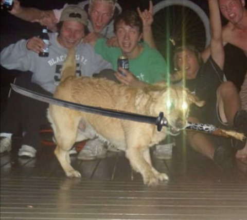 no title