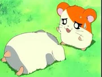 5005