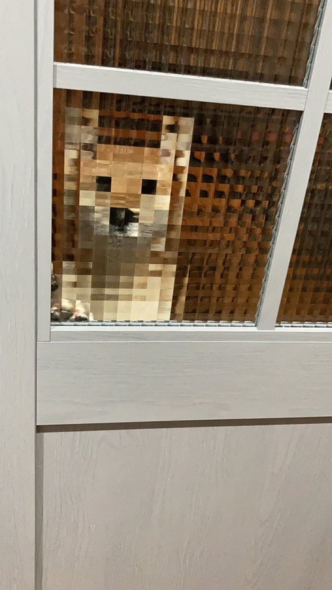no title