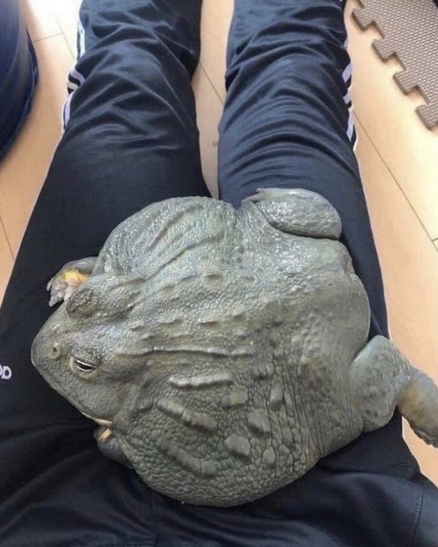 no title