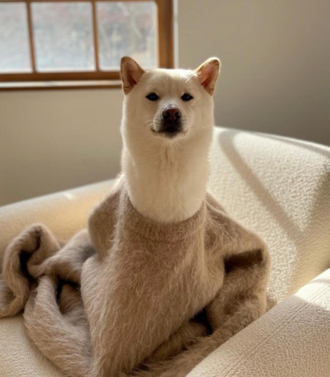 no title