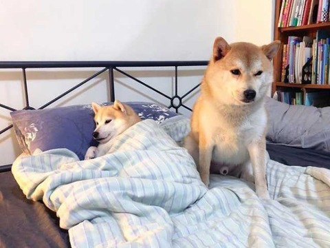 no title