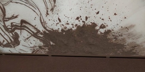 IMG_8155