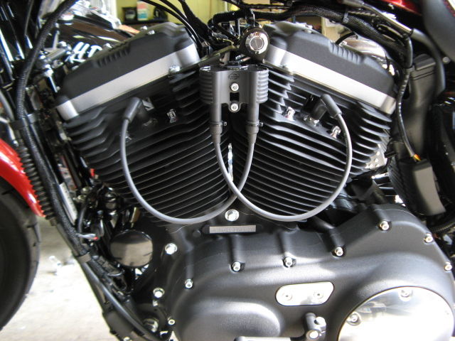2012年式XL883Nプラグコード交換☆超お手軽カスタム