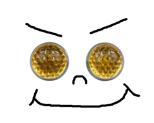 プチアイテム入荷☆彡