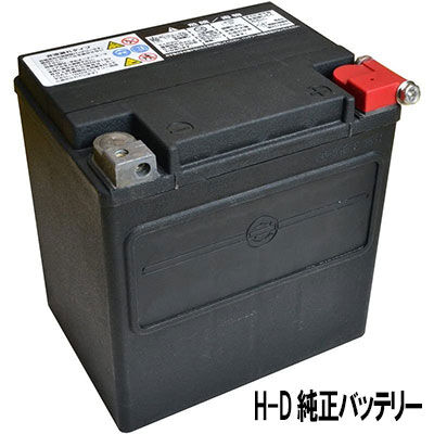TWIN POWER MAX+バッテリー 限定販売開始!! : HarleyDavidson TWIN POWER MAX+バッテリー 限定販売開始!! : HarleyDavidson