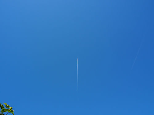 P5031265