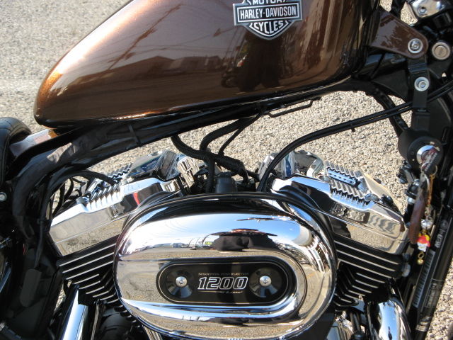 2011年式XL1200L 1200ローのタンクアップ&コイル移設他 2011年式XL1200L 1200ローのタンクアップ&コイル移設他