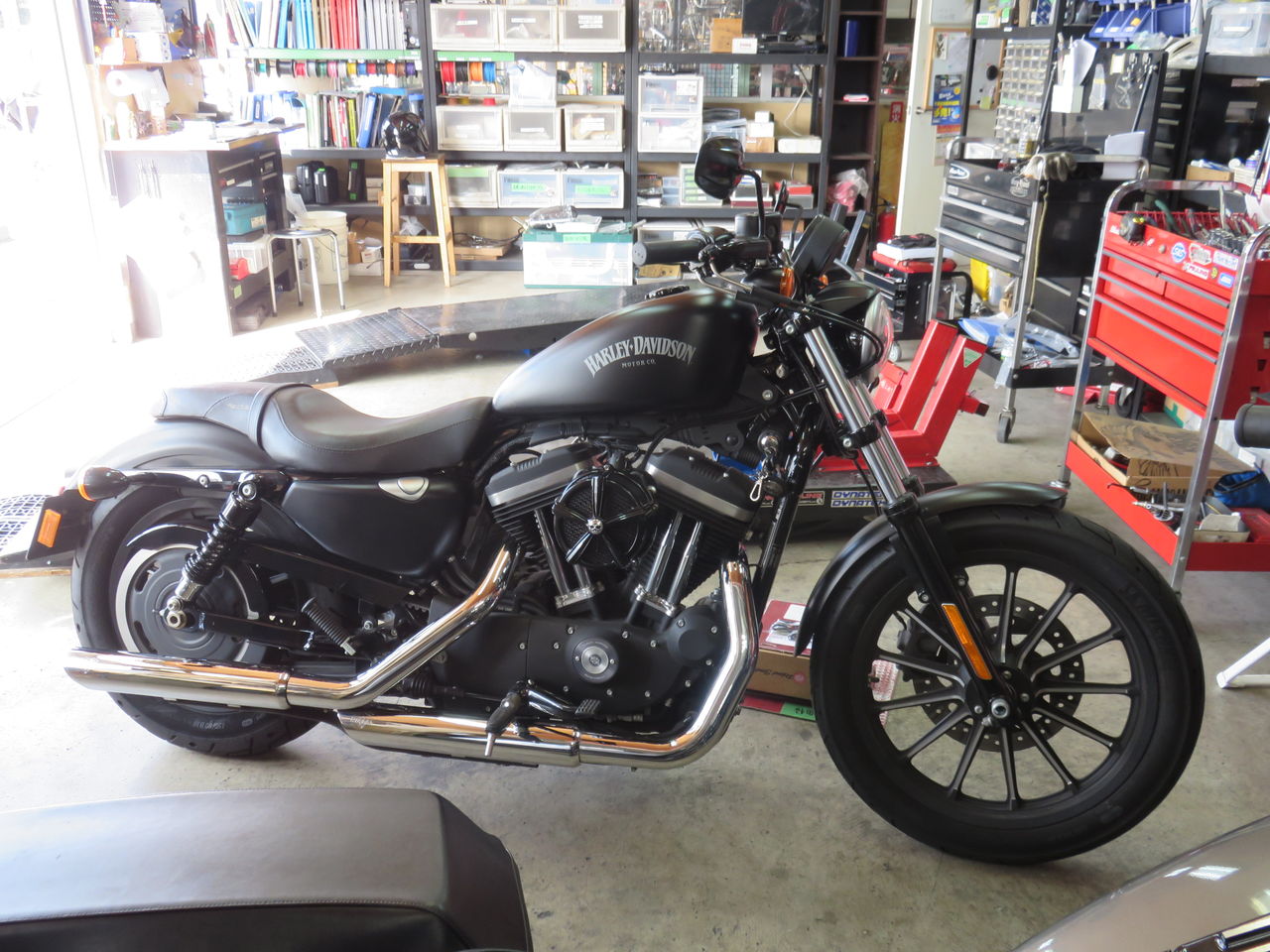 2014年式XL883N セパレートハンドル取り付け！！ : HarleyDavidson