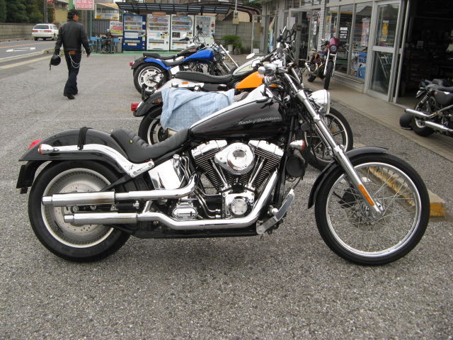 に適合する ダビッドソン FXSTD ソフテイル デュース 2000 ダイ