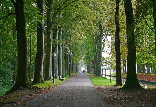 castle-park-1263979_960_720