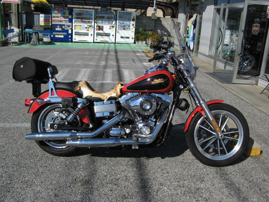 11FXDLヒートデーモン取り付け