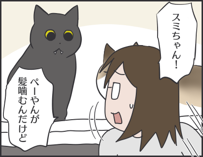 踏んだり蹴ったり おそらくその平凡こそ幸せ 猫と私と家族の日常 Powered By ライブドアブログ 踏んだり蹴ったり おそらくその平凡こそ幸せ 猫と私と家族の日常 Powered By ライブドアブログ