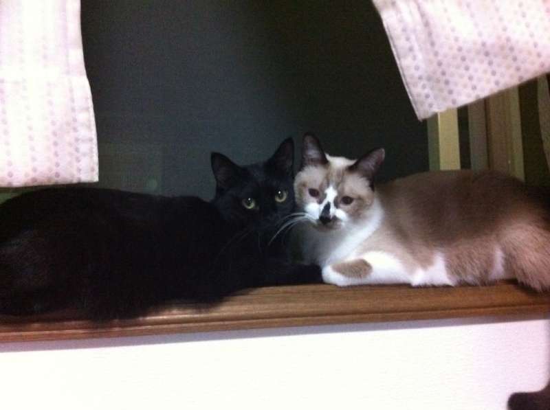 おそらくその平凡こそ幸せ