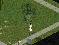 おそらくその平凡こそ幸せ
