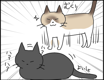 遊び方8