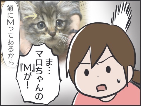 5005