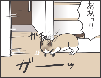 扉2