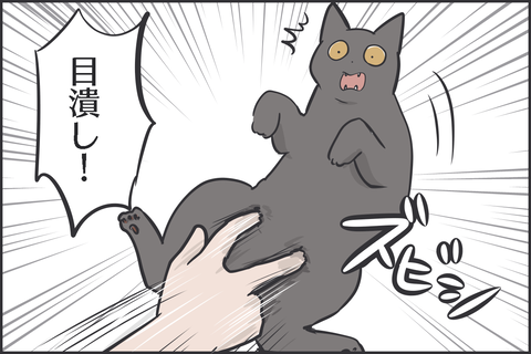 目潰し