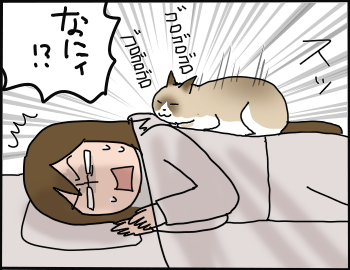 猫の重さ5