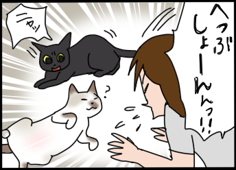 おそらくその平凡こそ幸せ