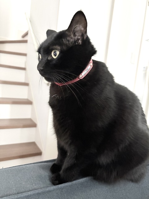 IMG_3006