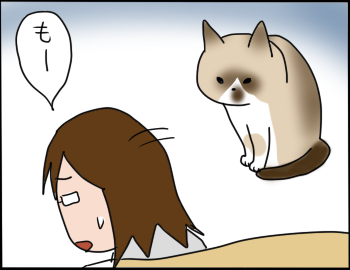 猫の爪4