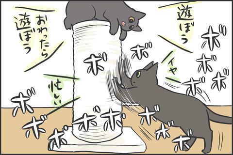 猫の爪とぎ