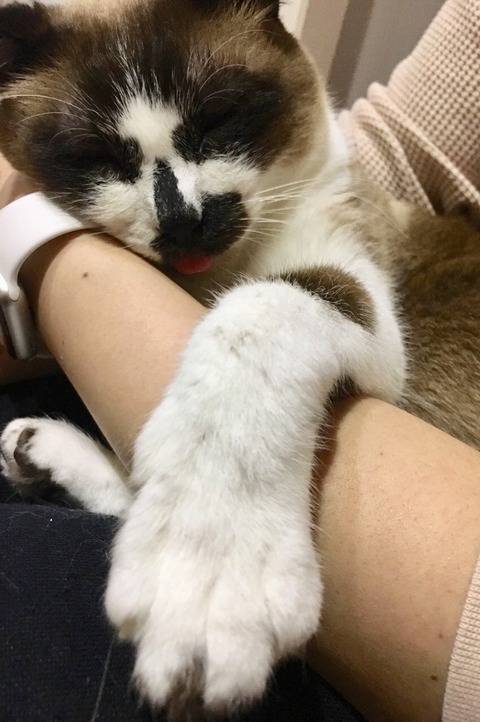 ぺーやん1