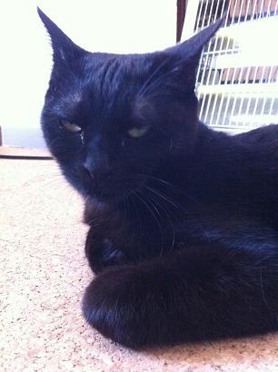 おそらくその平凡こそ幸せ