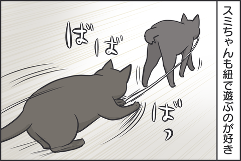 紐で遊ぶ猫3