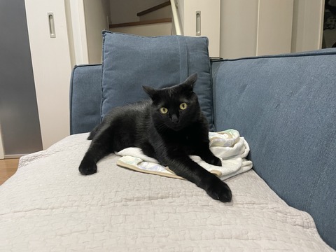IMG_2209