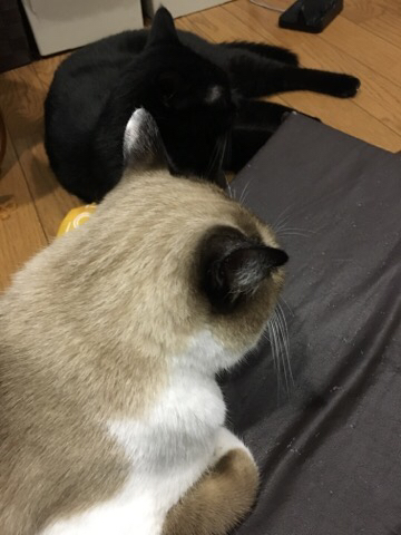 2016-10-01-18-00-30