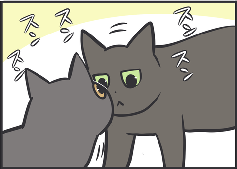 黒ねこ