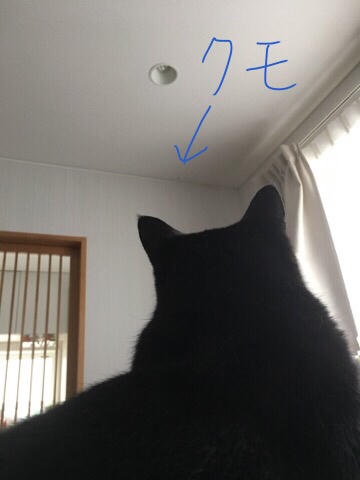2016-10-01-18-24-17
