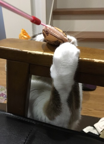 2016-11-24-23-13-34