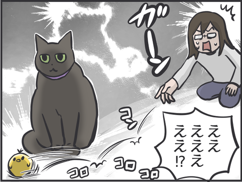 猫おもちゃ直6