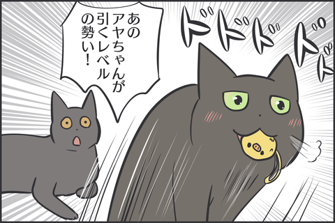 猫の好きなおもちゃ3