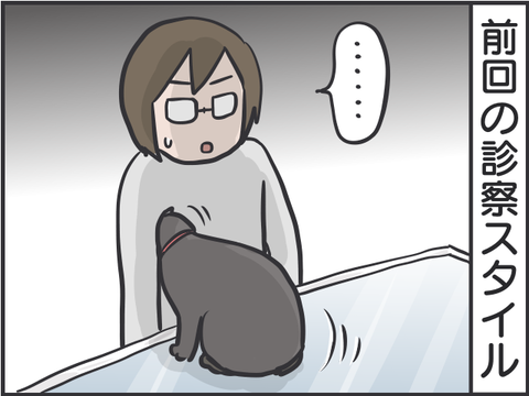 動物病院での猫たち6