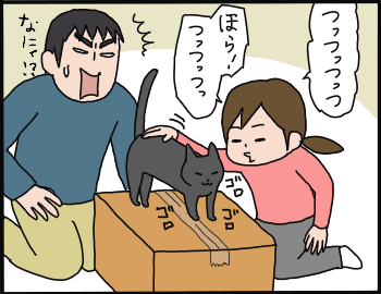 スミの嫌いな音3