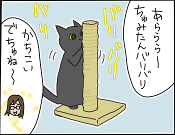 爪とぎ1
