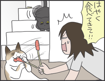 2016-07-24-21-21-04