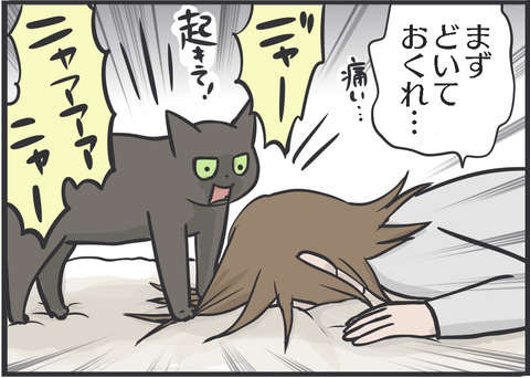 催促する猫