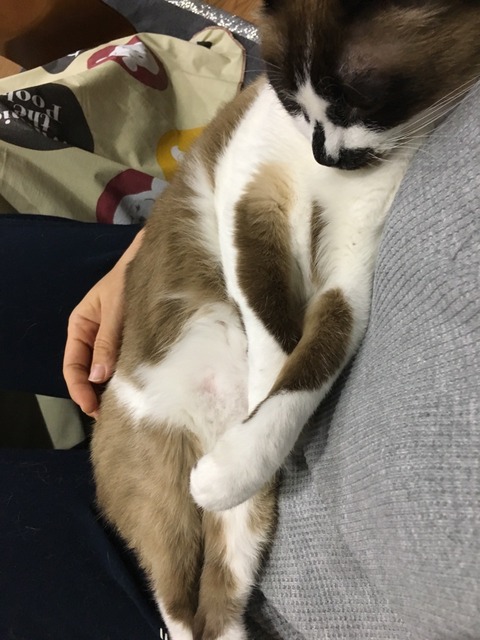 ぺーやん