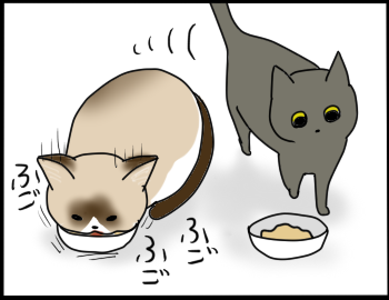 我が家の猫の上下関係 おそらくその平凡こそ幸せ 猫と家族の日常絵日記 Powered By ライブドアブログ