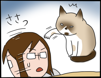 猫の爪7