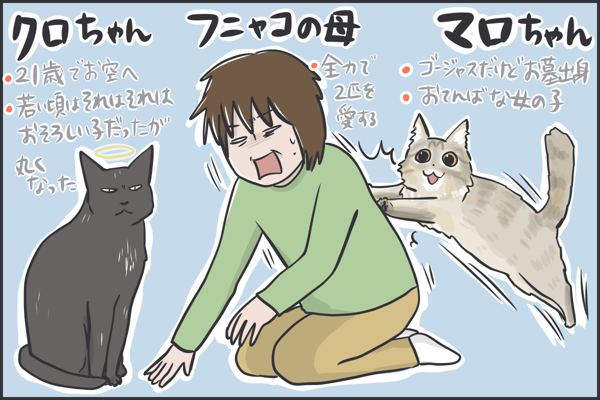 自己紹介とブログについて : おそらくその平凡こそ幸せ 猫と私と家族の 